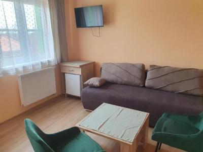 Pension Zelený strom - 14