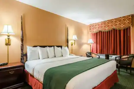 Quality Inn South - 40