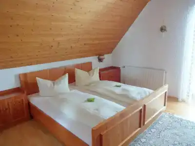 Hochschwarzwald-Hof - 32