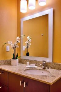 TownePlace Suites by Marriott - 54