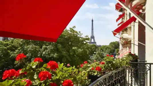 Hôtel Plaza Athénée - Dorchester Collection - 10