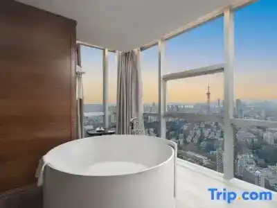 Sofitel Nanjing Galaxy - 142