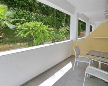 Tropical - 242