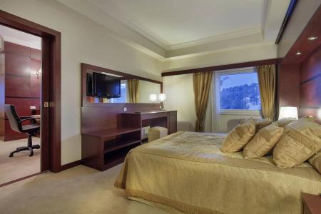 Palan Ski & Convention Resort - 4