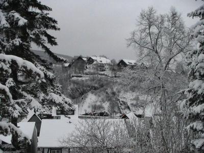 Sonneneck - 10
