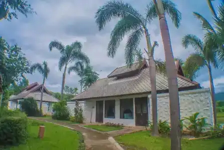 Bura Lumpai - 61