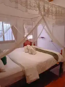Apilapa - 29
