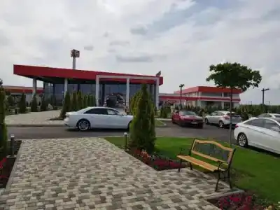 Оазис - 6