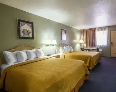 Lux Verde - 2