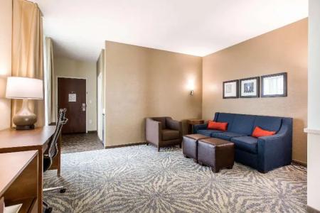 Comfort Suites - South Austin - 23