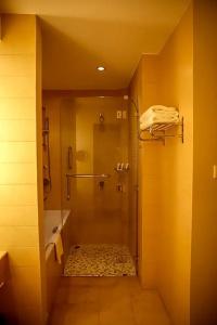 Crowne Plaza, An Ihg - 94