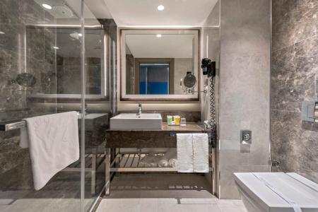 Holiday Inn Kayseri - Duvenonu, an IHG - 3