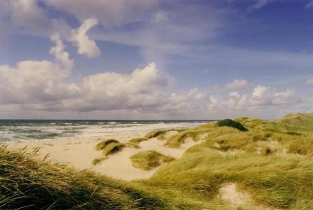 StrandMonbijou garni - 56