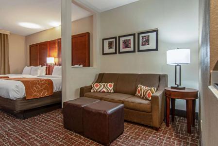 Comfort Suites Nw Dallas Near Love Field - 2