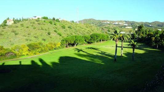 Añoreta Suites - 47