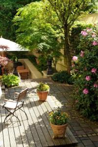Boutique Splendid-Dollmann - 34