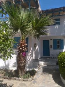 Misket Bodrum - 6