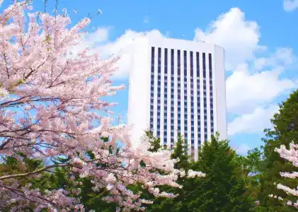 Premier Nakajima Park Sapporo - 39