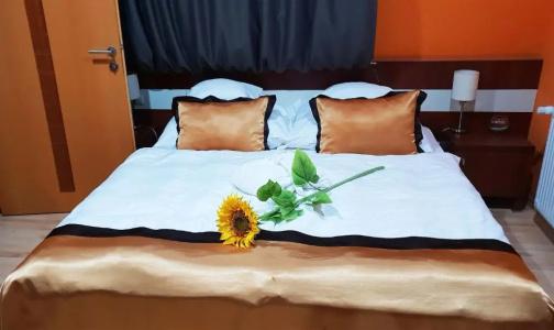 Holiday Beach Budapest Wellness with Sauna Park - 95