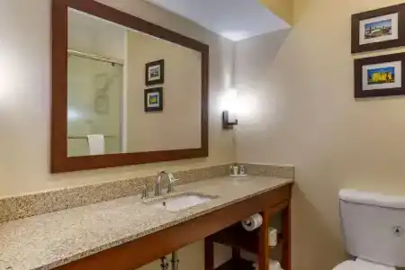 Comfort Suites Walnut Creek - 63