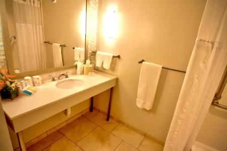 Hilton Garden Inn Miami Dolphin Mall - 59