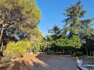 B&B Parco della Vigna - 46