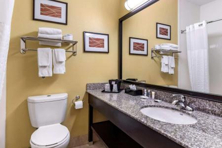 Comfort Inn & Suites - 9