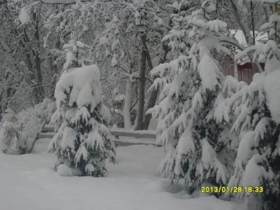 Aaria Bed and Breakfast - 6