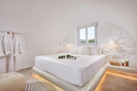 Petri Suites - 57