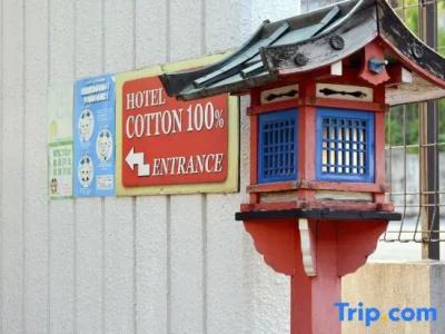 Cotton 100% - 49