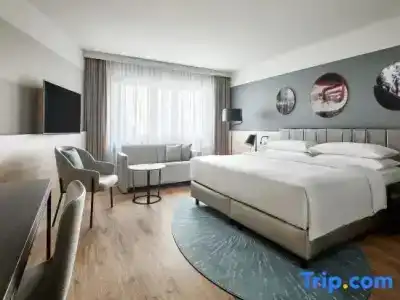 Swissotel Le Plaza Basel City - 95