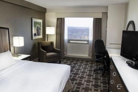Hilton/ Fallsview and Suites - 44
