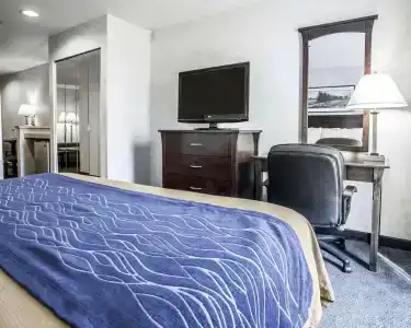Comfort Inn - 37