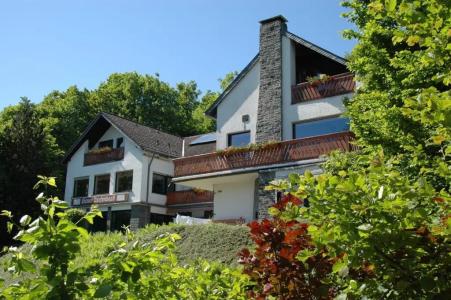 Pension Haus Diefenbach - 48
