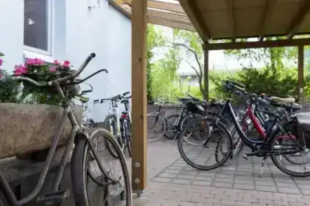 in den Herrnwiesen - 11