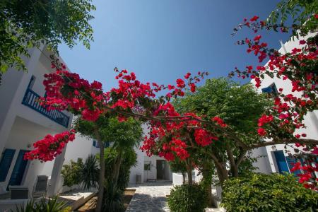 Acrogiali Beach Mykonos - 22