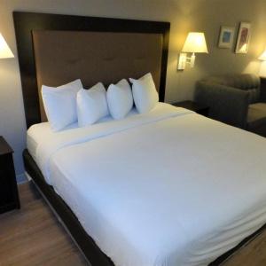 Red Roof Inn Houston - Jersey Village - 12