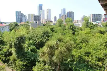 Green House - 25