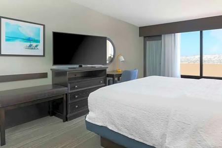 Hampton Inn - 79