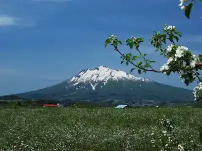 Art Hirosaki City - 17