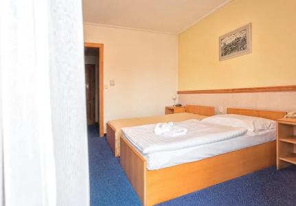 Prague Carl Inn restaurant & Free Parking - 4