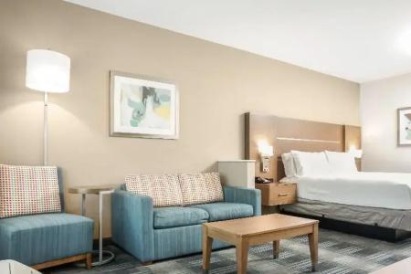 Holiday Inn Express & Suites - Houston Westchase - Westheimer, an IHG - 84