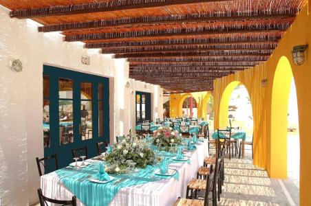 Mr. and Mrs. White Tinos - 30