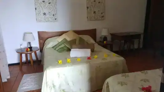 Mango Lodge - 111