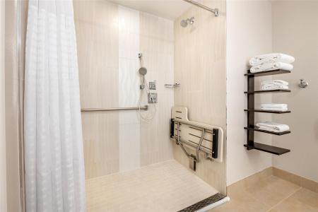 Hilton Grand Vacations Club Las Palmeras Orlando - 47