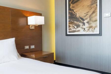 Hilton Garden Inn - 73
