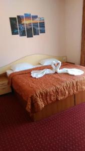 Guest House Aristokrat - 10
