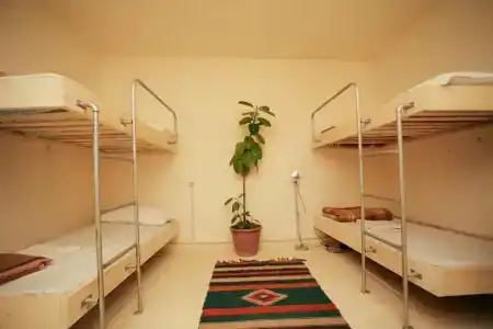 Zig Zag Hostel - 24