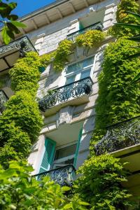 Le Windsor, Jungle Art - 0