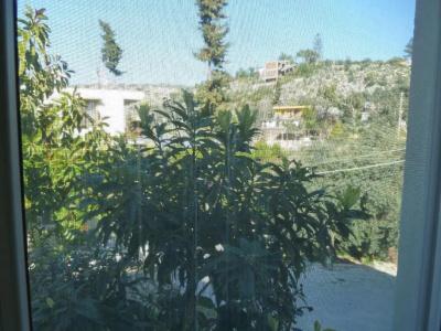 Rose Pension - 53